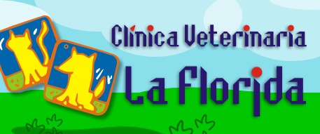 Centro Veterinario La Florida – Linares, Jaén