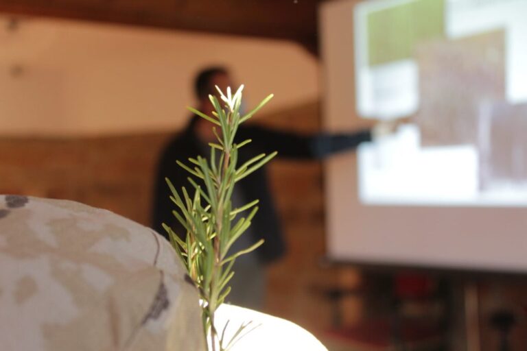 I Curso sobre el Cultivo de las Plantas Aromáticas en Baños de la Encina.