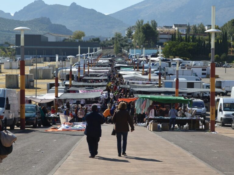 El mercadillo vuelve a funcionar este jueves, 28 de mayo
