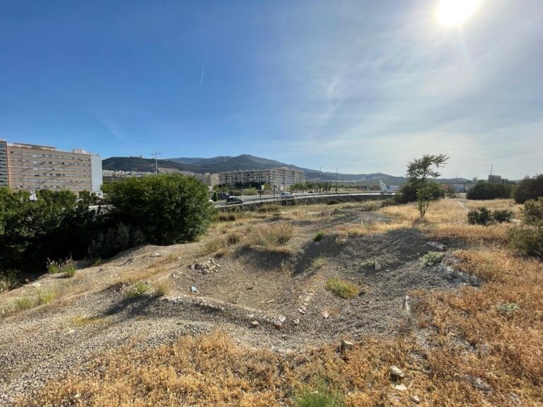 Jaén acogerá el Centro de Innovación Turística de los Paisajes Olivareros de Andalucía