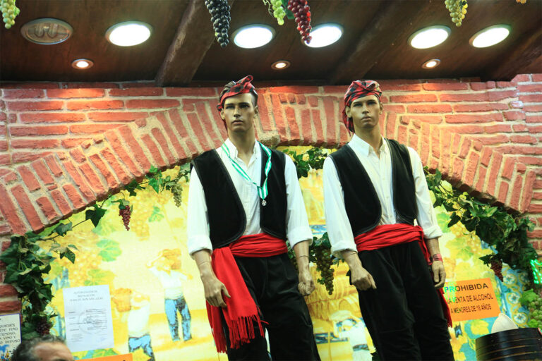 Feria de Jaen - Recinto ferial 5