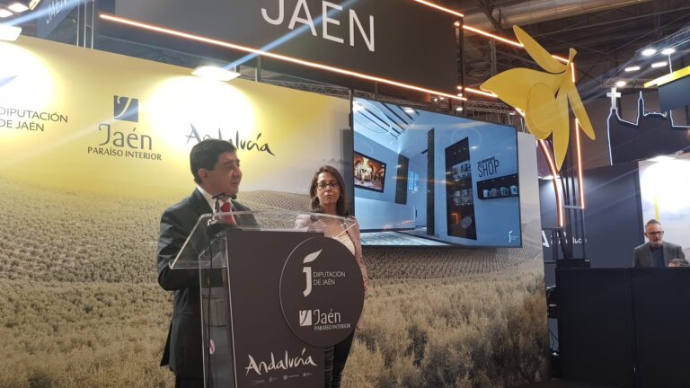 Nueva Museografía para los Baños Árabes de Jaén