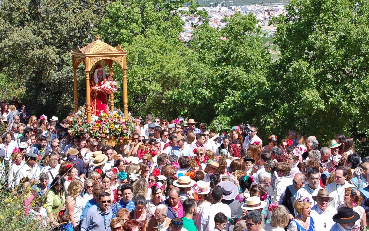 Romería de Santa Ana en Torredelcampo