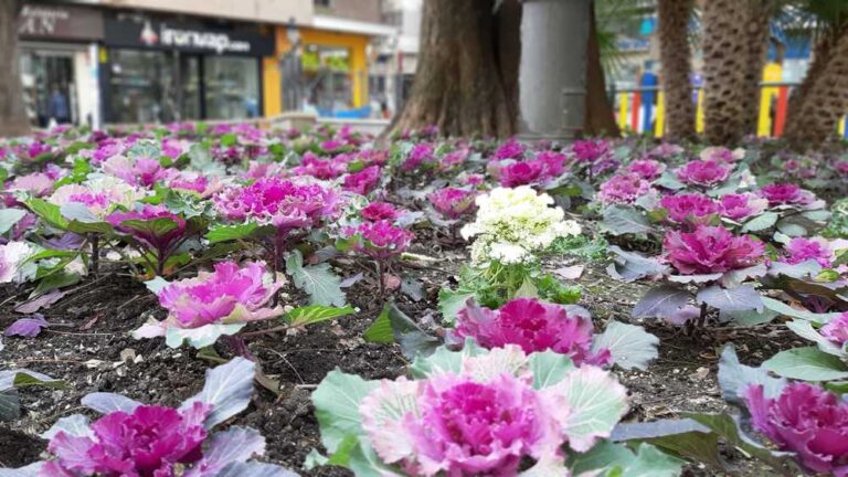 Concierto Primavera Jardinillos Banda Municipal Jaén