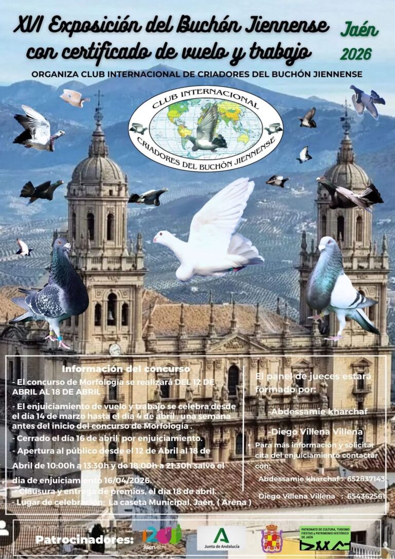 Exposición Buchón Jiennense 2026