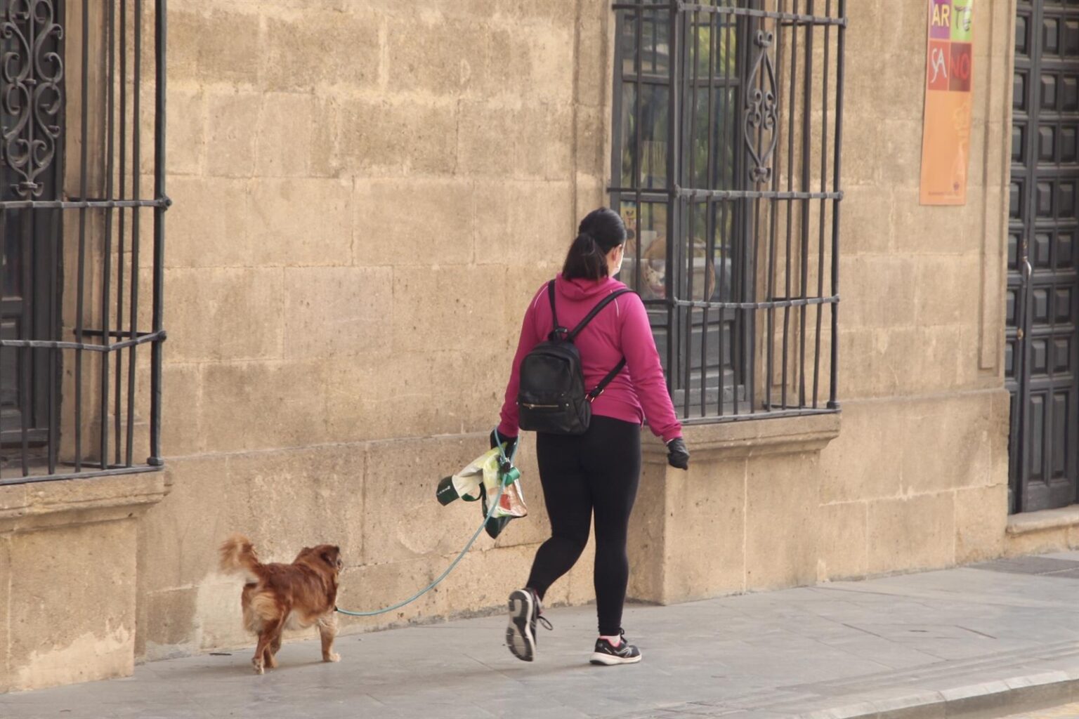 Una mujer pasea a su perro por una calle de Jaén