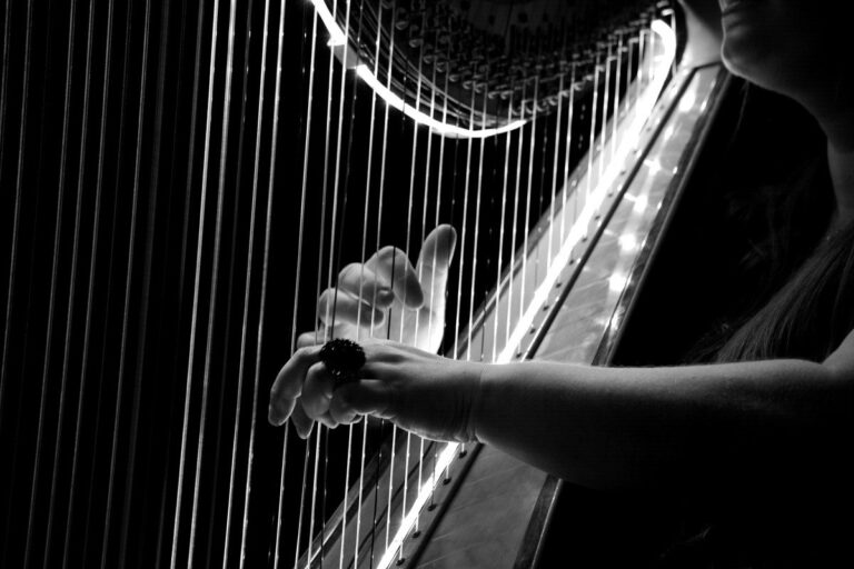 Concierto de flauta y arpa en la Económica de Amigos del País