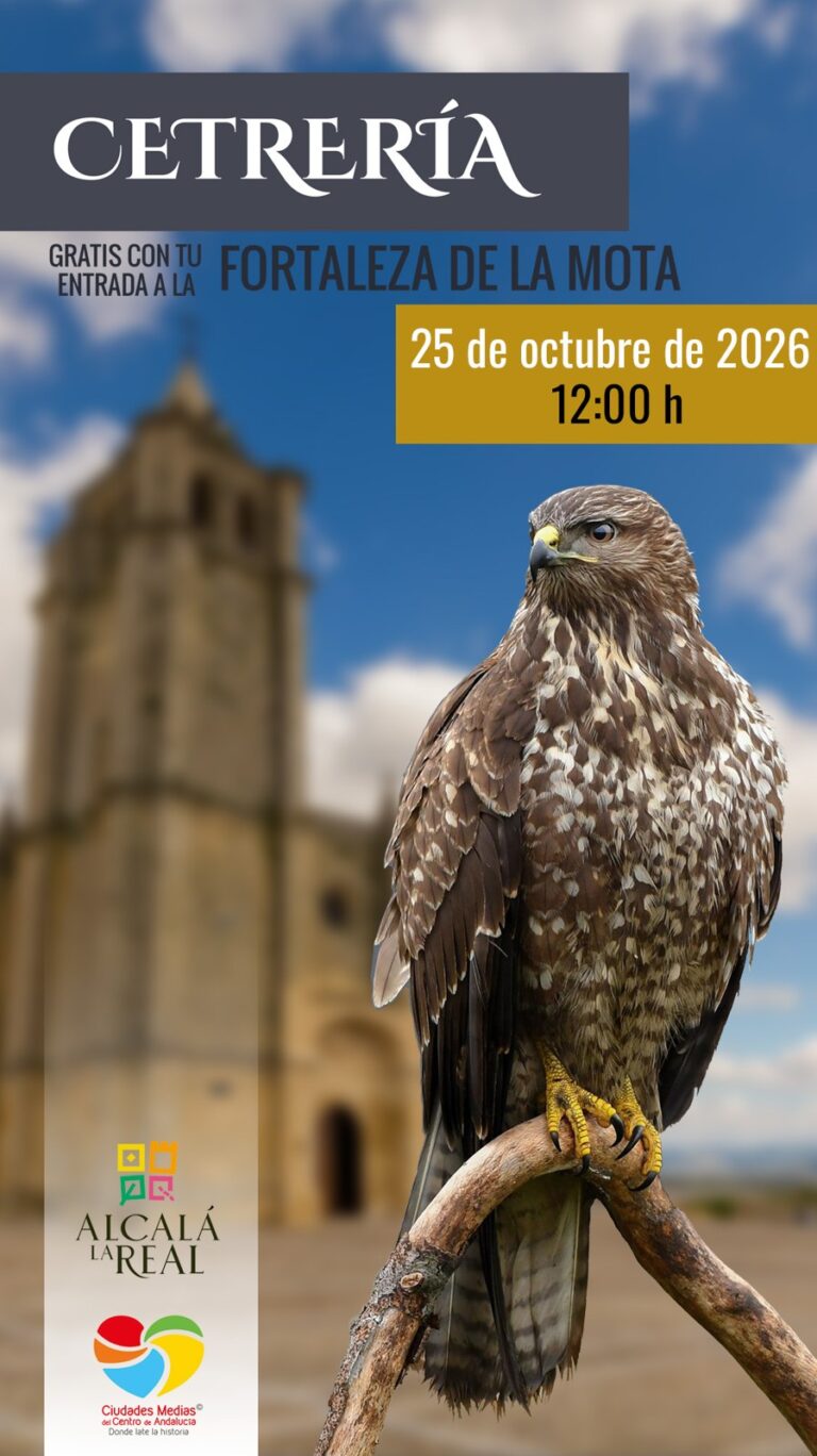Exhibición de cetrería en la Fortaleza de la Mota
