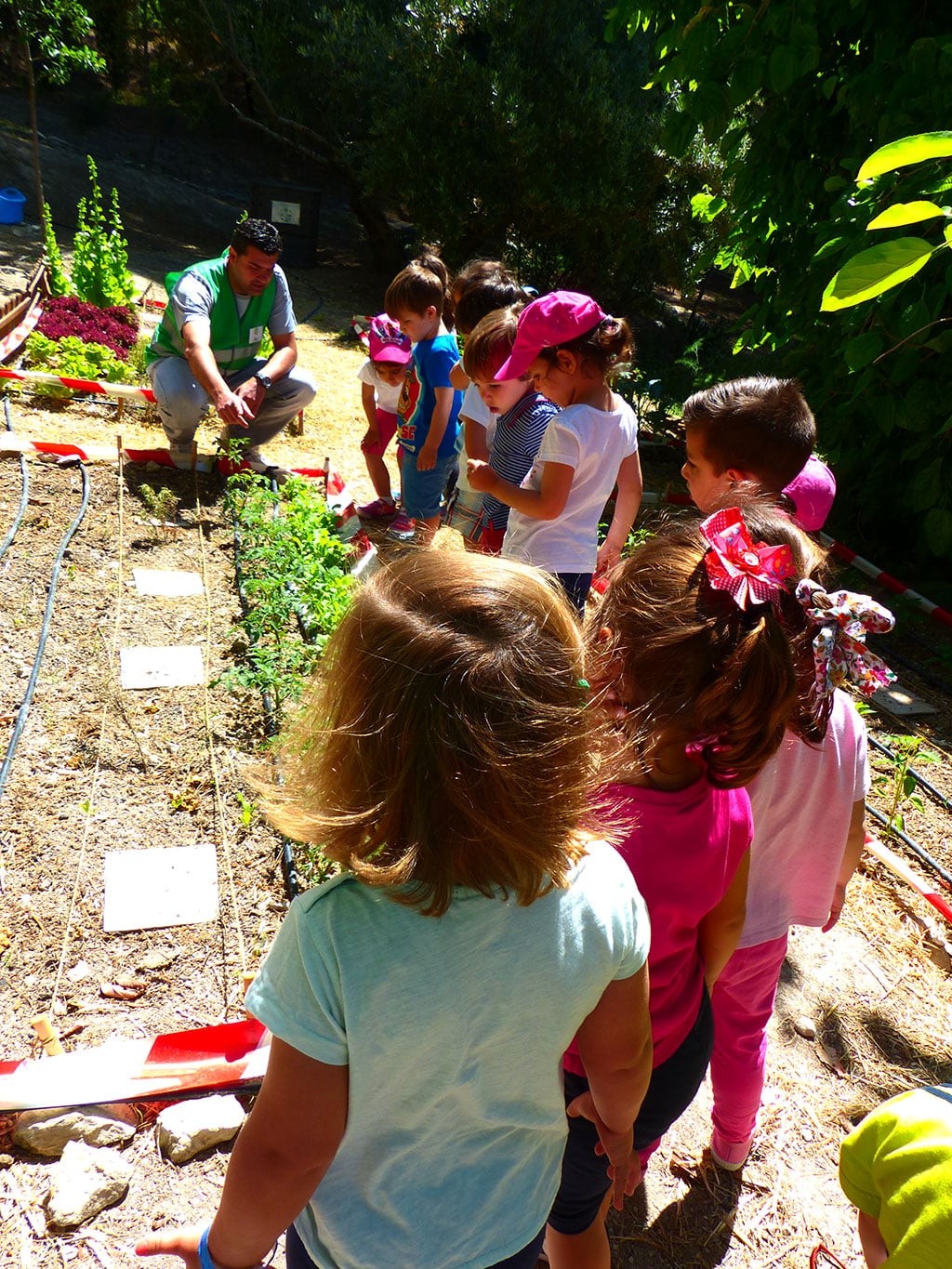 Niños aprendiendo en el huerto de la Granja Escuela Sierra Mágina, en Bedmar