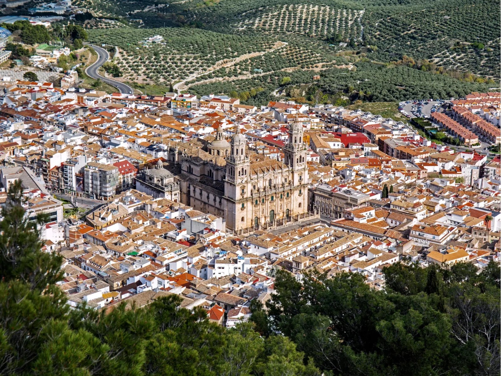 Vista de Jaén con la Catedral entre los tejados y los olivares al fondo