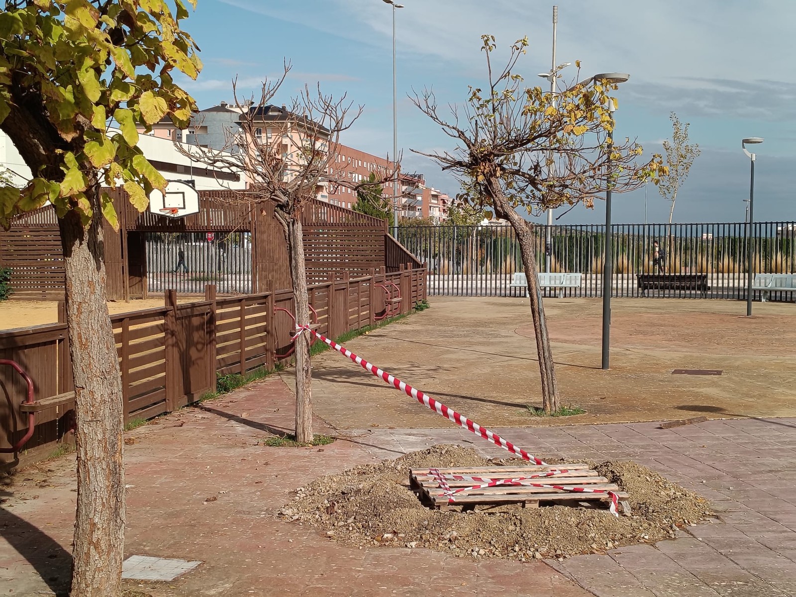 Hoyo preparado para la plantación de un árbol junto a una pista deportiva en Jaén