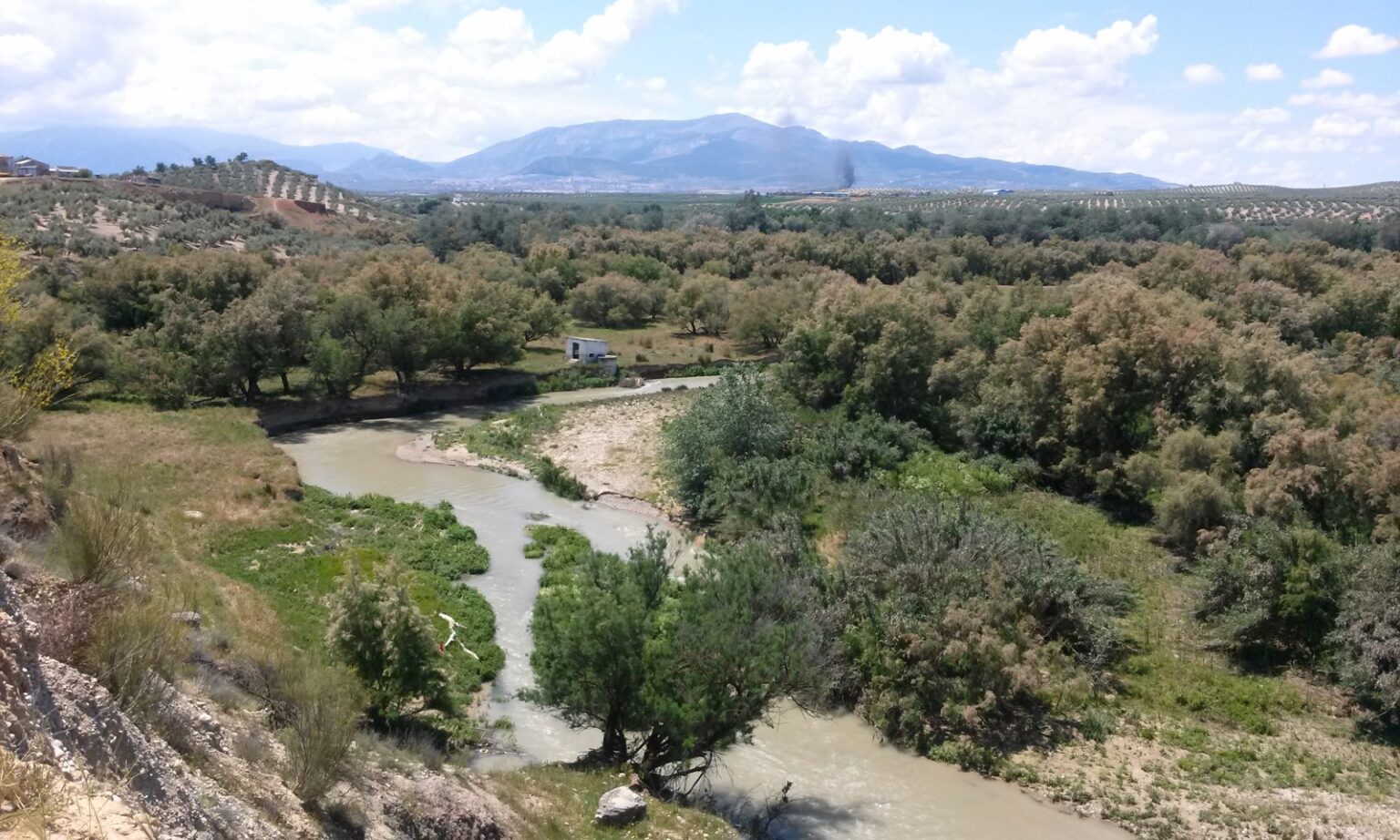 Río Guadalbullón entre olivares a las afueras de Jaén