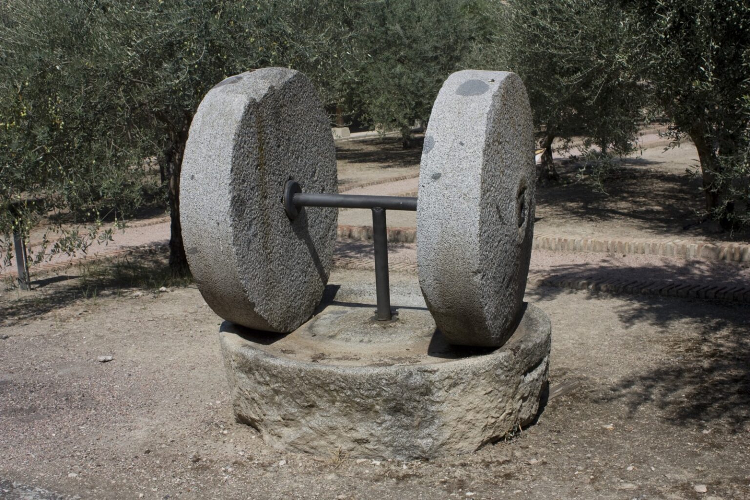 Antiguo molino de piedra entre olivos en el Museo de la Cultura del Olivo, en la Hacienda La Laguna (Baeza)