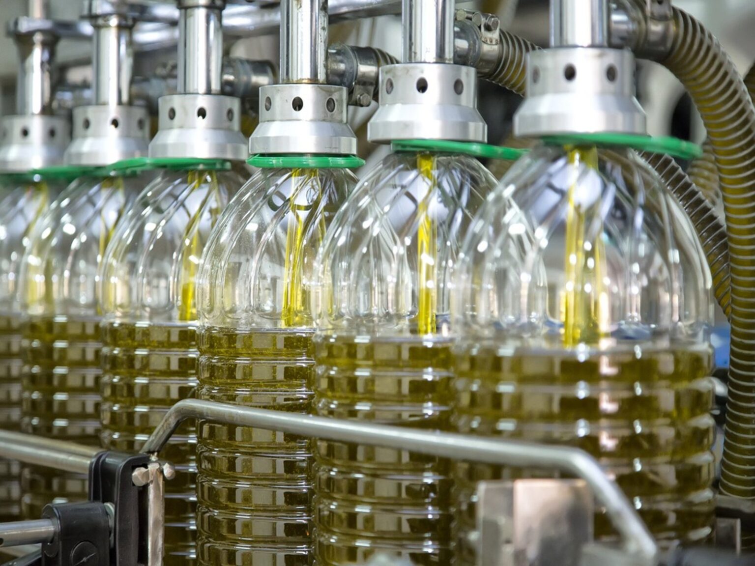 Línea de envasado de aceite de oliva en una almazara de Jaén