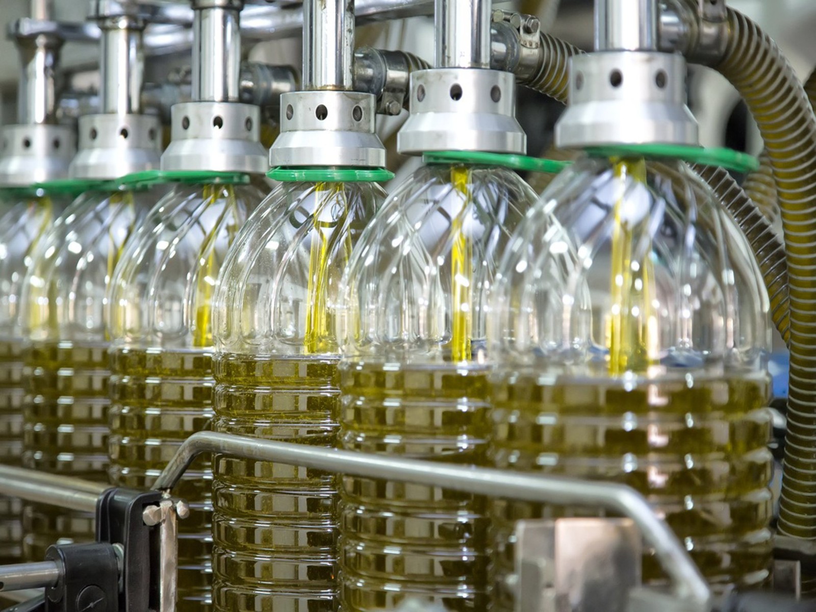 Línea de envasado de aceite de oliva en una almazara de Jaén