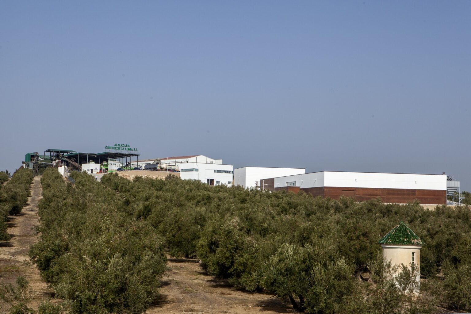 Almazara La Loma entre olivares junto a la A-316, en Baeza