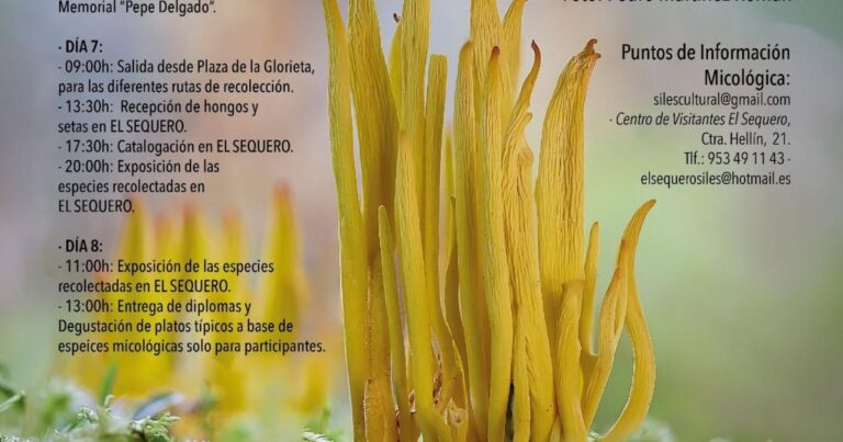 Cartel de las XXIV Jornadas Micológicas Villa de Siles
